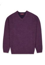 Load image into Gallery viewer, V-Neck Lambswool Sweater