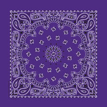 Load image into Gallery viewer, Bandana