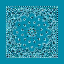 Load image into Gallery viewer, Bandana